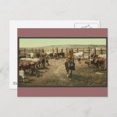 Koeien en koeien briefkaart (Voorkant / Achterkant)