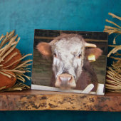 KOEIEN FOTOPLAAT (Zijkant)