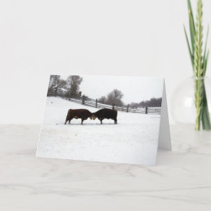 Koeien Hoofd Bedankkaart