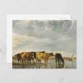 Koeien in de Aelbert Cuyp Briefkaart (Voorkant / Achterkant)