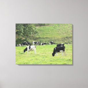 Koeien in de Country Pasture Fotowand Canvas Kunst