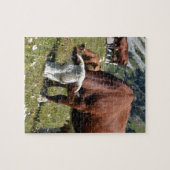 Koeien in de Franse Alpen Legpuzzel (Horizontaal)