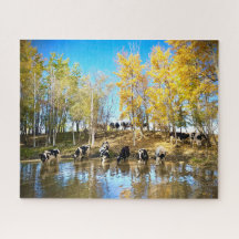 Koeien in de herfst bij de vijver