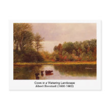 Koeien in een waterlandschap door Albert B.