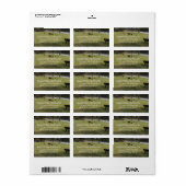 Koeien in het Adresetiket van het deegras Etiket (Full Sheet)