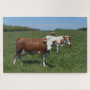 Koeien in het deegras legpuzzel