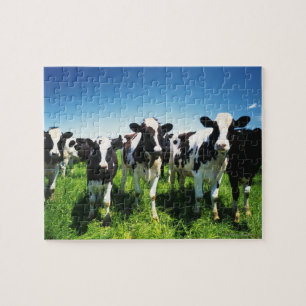 Koeien in het veld, stad Betsukai, Hokkaido Legpuzzel