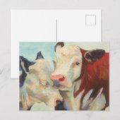 Koeien in liefde briefkaart (Voorkant / Achterkant)