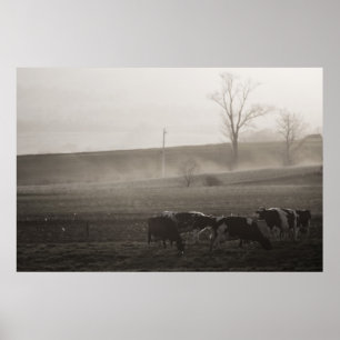 Koeien In The Mist fine art print