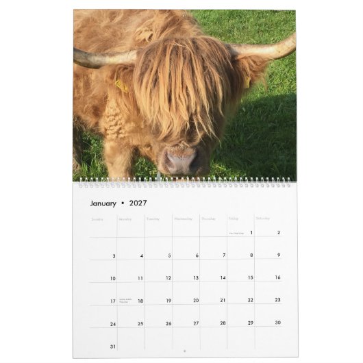 Koeien Kalender (Jan 2027)