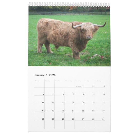Koeien Kalender (Jan 2026)