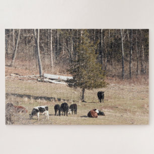 Koeien op een vreedzame heuvel in Connecticut Legpuzzel