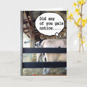 KOEIEN SAMENWERKEN OM TE ZEGGEN DAT ZIJ BIRTHDAAG  KAART (Gele Bloem)