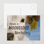 Koeien Verjaardags Nummer Briefkaart (Voorkant / Achterkant)