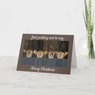 KOEIEN VERZENDEN CHRISTMAS GREETINGS NAAR "U" KAART