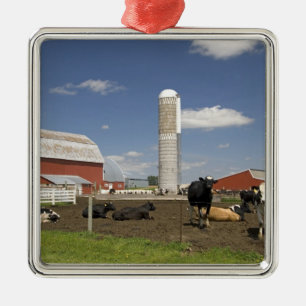 Koeien voor een rode schuur en silo op een boerder metalen ornament