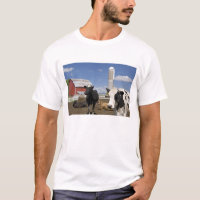 Koeien voor een rode schuur en silo op een boerder