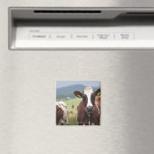 Koeien voor grazing magneet (Insitu (Vaatwasser))