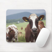 Koeien voor grazing muismat (Met muis)