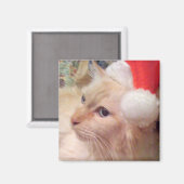 Koeken de Cat Christmas Magnet Magneet (Voorkant / Achterkant)