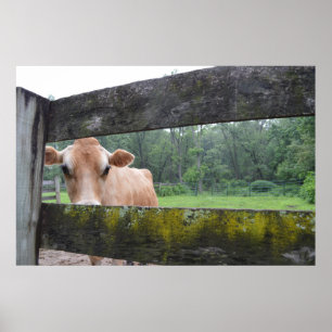 Koekjeskoek die door de hek loopt poster