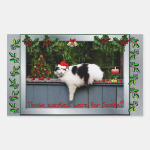 Koekjesliefhebbende kat rechthoekige sticker