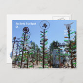 Koel Briefkaart met flesboomgaard! (Voorkant / Achterkant)