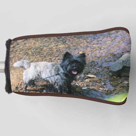 Koel Cairn Golfheadcover (Voorkant)