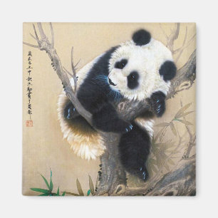 Koel chinese schattige, zoete panda-beer magneet