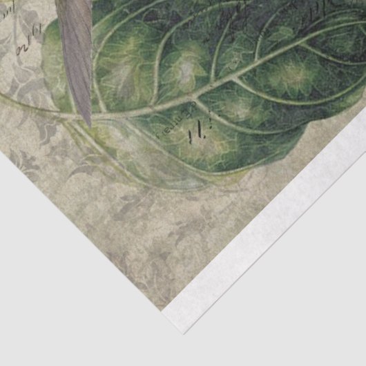 koel- en ondergrondse kolibries tissuepapier (Detail)