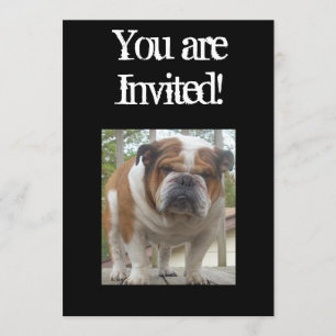 Koel English Bulldog Invitation Birthday of Any Oc Kaart