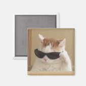 Koel kat meme magneet (Voorkant / Achterkant)