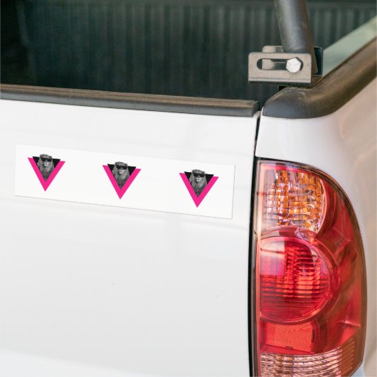 Koel Leeuw Bumpersticker (Op Truck)