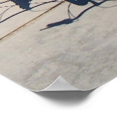 Koel Venice Beach Poster! Poster (Hoek)