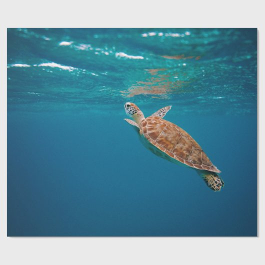 Koel Zee Cadeaupapier (Vlak)