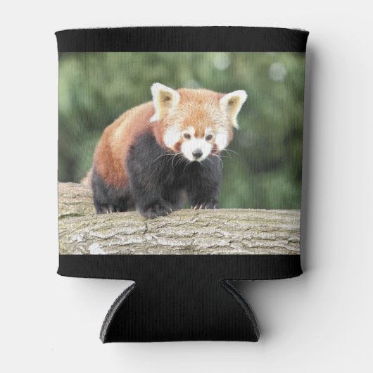Koelbox Foto rode panda , animal 0001. Blikjeskoeler (Voorkant)