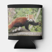 Koelbox Foto rode panda , animal 0001. Blikjeskoeler (Achterkant)