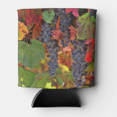  Koelbox van met wijnstok gelijkgestelde  Blikjeskoeler (Voorkant)