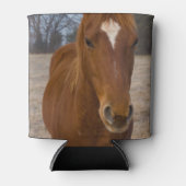 Koelbox voor paardenpest blikjeskoeler (Voorkant)