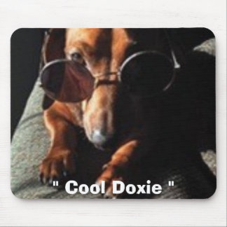 koele doxi, muismat