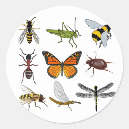 Koele Insect Ronde Sticker