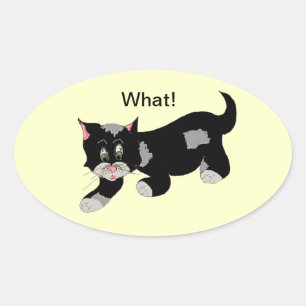 Koele Kat met Spreuk Ovale Sticker