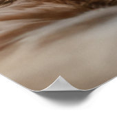 Koele katten in Parijs Poster (Hoek)