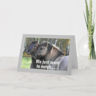 KOELE PAARDEN ZIJN NAASTE "HAPPY BIRTHDAY" KAART