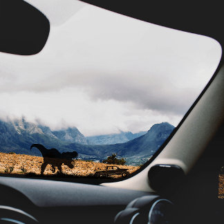 Koele T-rex dinosaurus voor auto vrachtwagenvenste Sticker