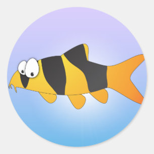 Koele vis - Clown loach Ronde Sticker