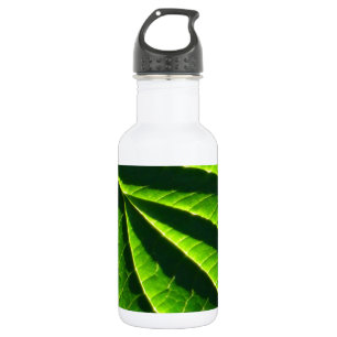 Koelgroen blad waterfles