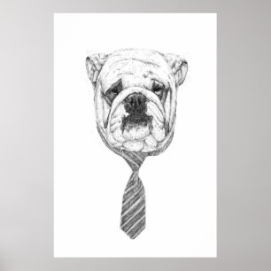 koelhond poster