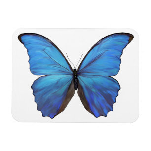 Koelkast Magnet Blue Butterfly Magneet