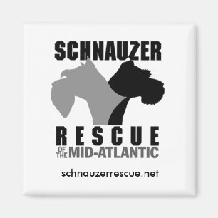 Koelkast Magnet Magneet